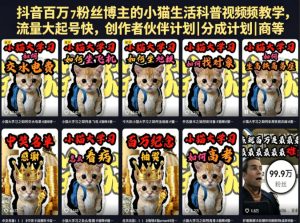 抖音百万粉丝博主的小猫生活科普视频教学,流量大起号快,创作者伙伴计划|分成计划|商单|收徒等-则成副业项目资源站