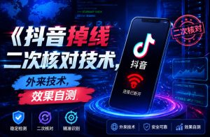 抖音掉线二次核对技术，外来技术，效果自测-则成副业项目资源站