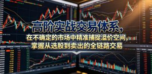 高阶实战交易体系,在不确定的市场中精准捕捉溢价空间,掌握从选股到卖出的全链路交易心法(更新6月)-则成副业项目资源站