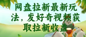网盘拉新最新玩法,发好奇视频获取拉新收益,抖音收藏家玩法-则成副业项目资源站