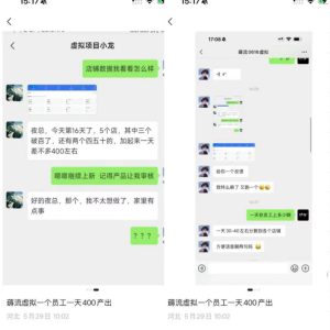 薅流虚拟2.0陪跑课,0成本AI流程化操作,淘宝+闲鱼同步玩法,上一次货两个平台有收益,单店每天200纯利润-则成副业项目资源站